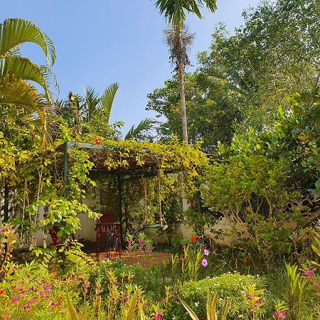 Villa My Long Can Tho Luaran gambar
